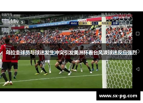 乌拉圭球员与球迷发生冲突引发美洲杯看台风波球迷反应强烈